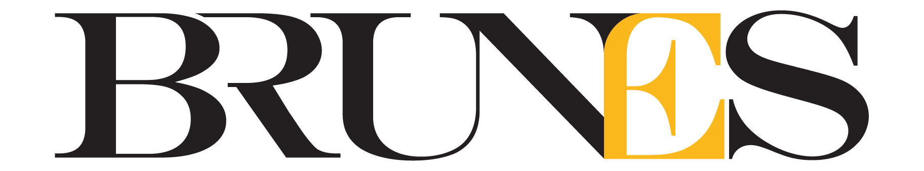 logo1