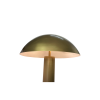 Picture of Floor lamp, mushroom, steel brushed brass, d.60x152.5cm, socket:e27*2