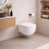 Picture of Era wc, ceramic, wall hung, talco, matte, 37x53 cm