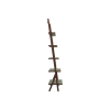 Picture of High bookcase, ren, structure canaletto walnut, upholstery pelle frau, celadon, 180cm