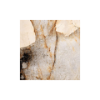 Picture of Floor tile grande marble, marble effect, glossy, 6mm 120x120cm
