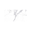 Picture of Floor tile statu, marble effect, matt, 60x120cm